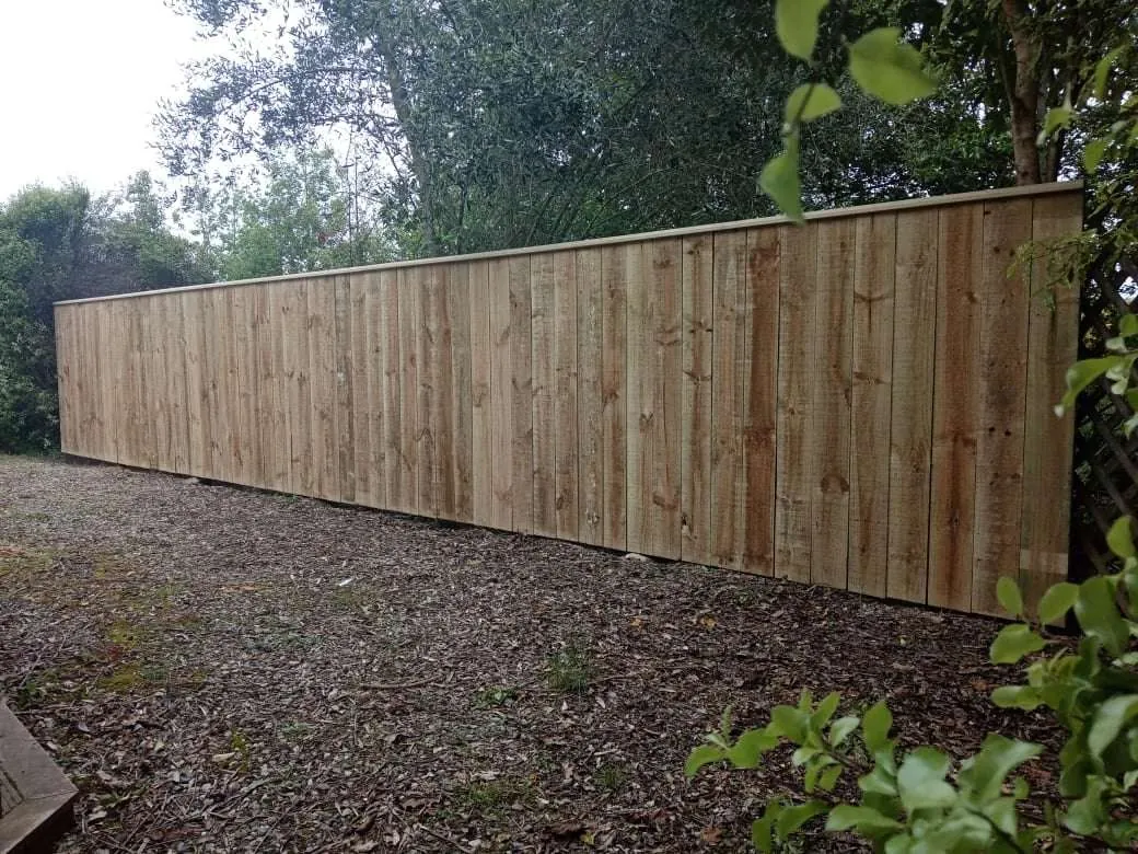 A new timber paling fence built along a residential boundary in Richmond