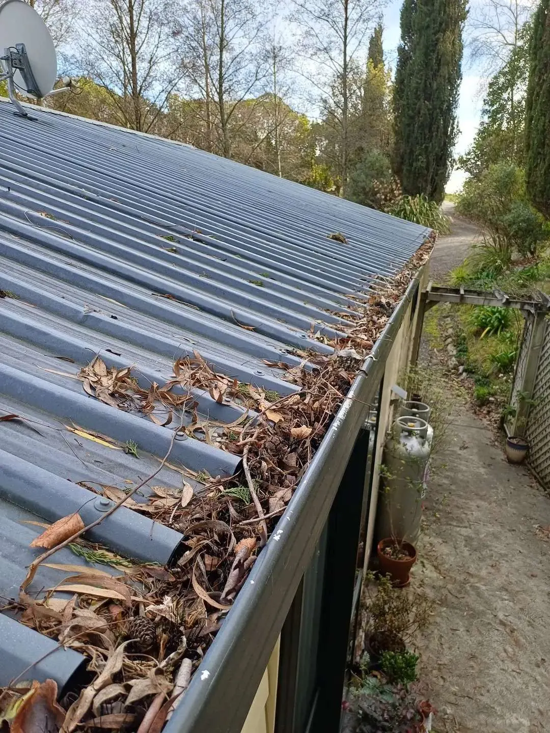 A gutter packed with leaves and debris before clearing