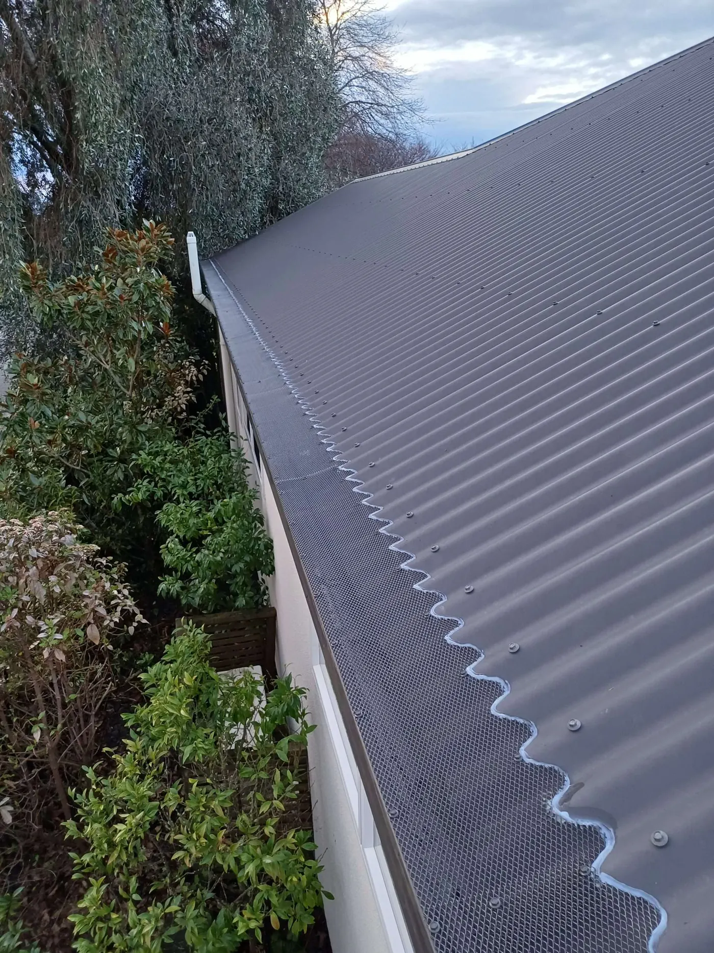 Gutter guard mesh fitted along the full length of a roofline