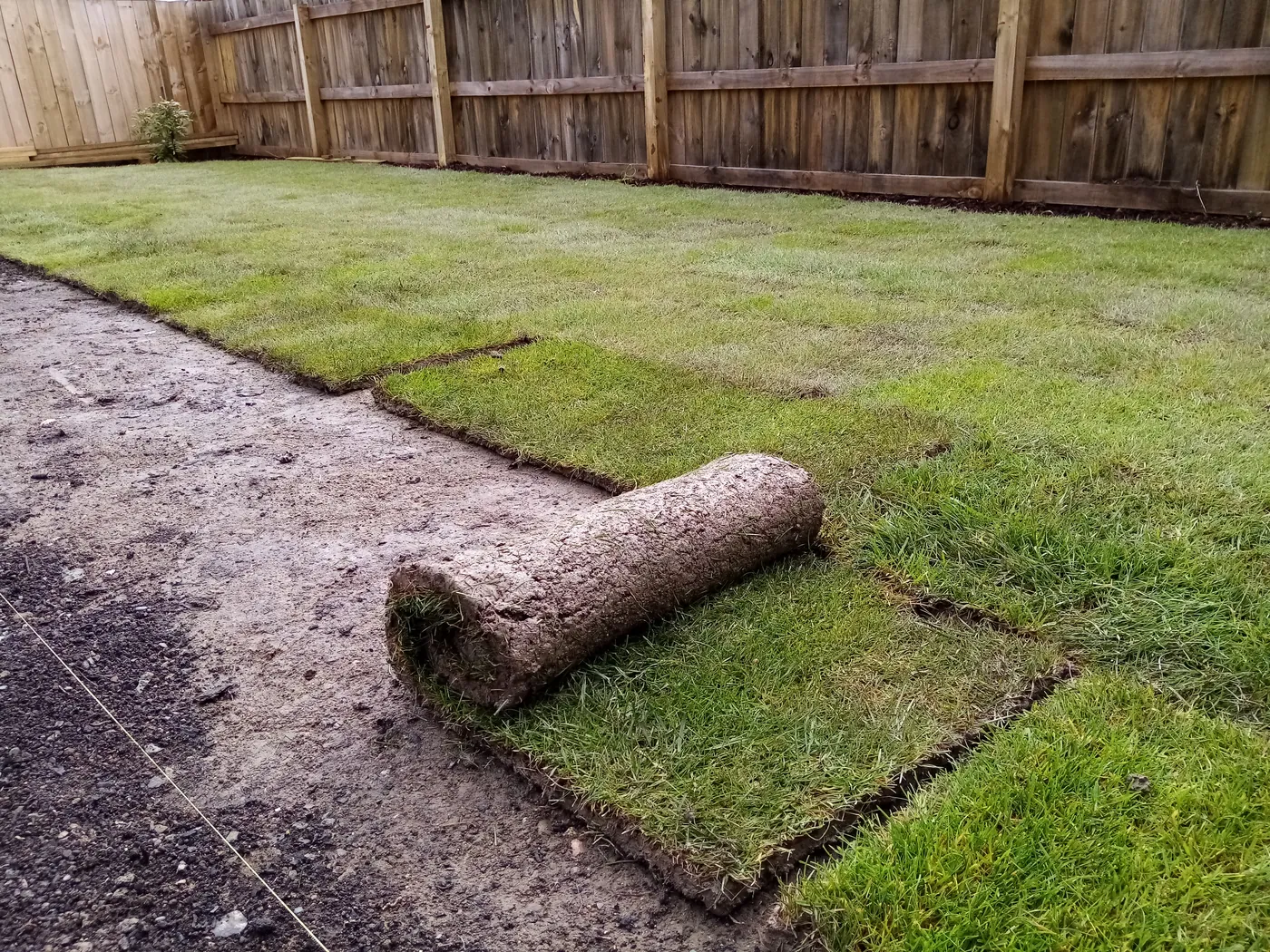 New turf being laid across a levelled back lawn