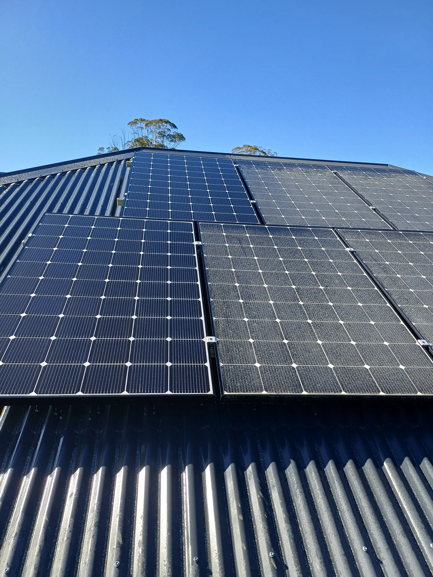 Clean solar panels on a Tasman roof under a clear sky
