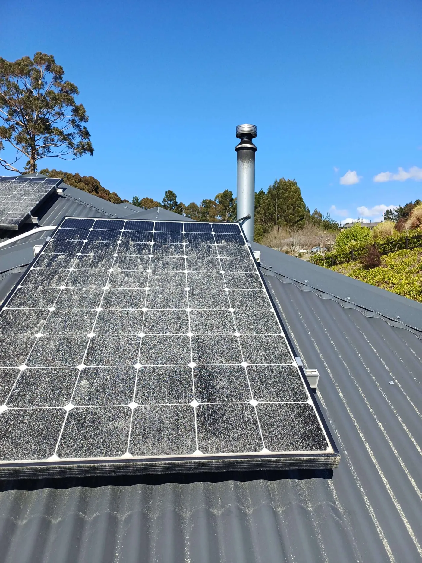 A solar array on a Tasman roof after cleaning